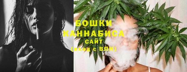 гашик Ладушкин